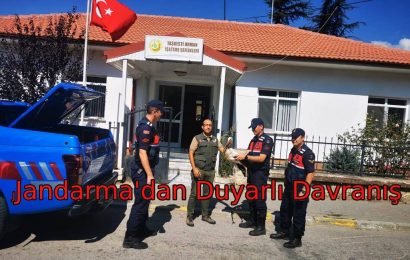 Jandarma’dan Duyarlı Davranış